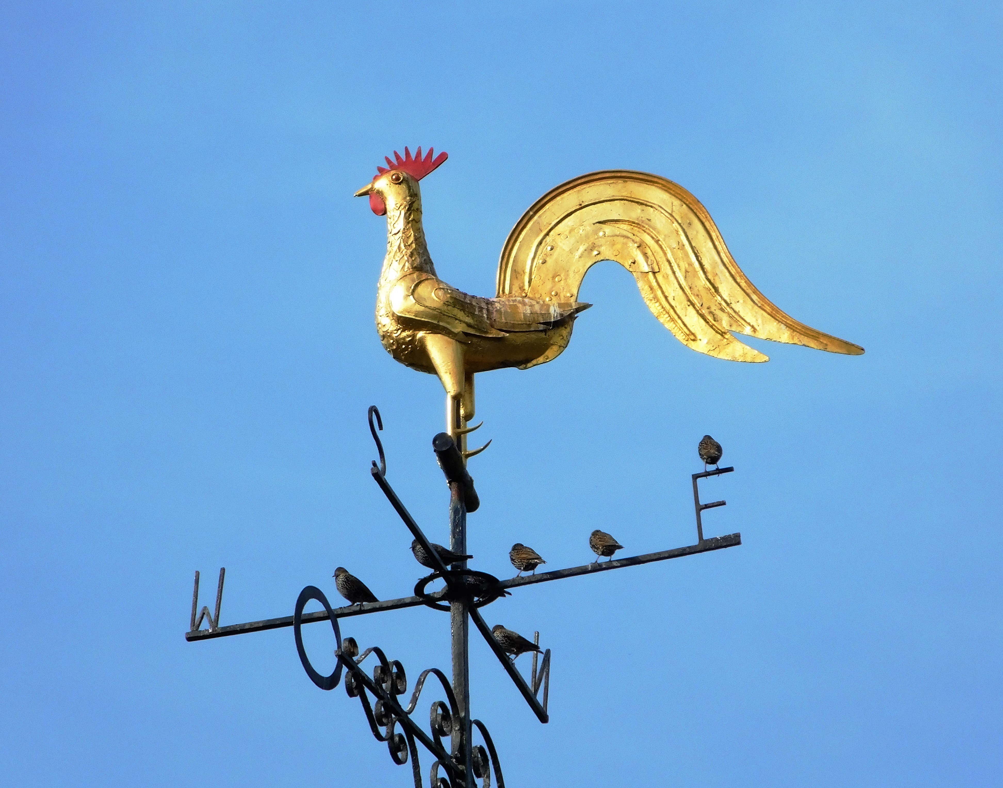 weathervane 2